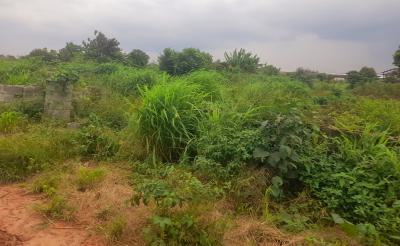 Affordable Plots and Acres of Lands, Along Moniya-iseyin Expressway, Moniya, Ibadan, Oyo, Land for Sale