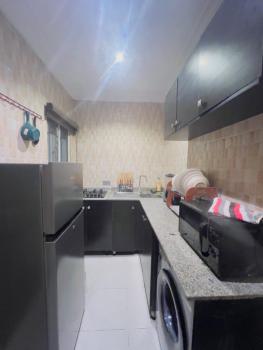 Fully Furnished, Neatly Used Serviced 2 Bedrooms Apartment, Off Ologolo Road, Beside White Oak Estate, Ologolo, Lekki, Lagos, Flat / Apartment for Sale