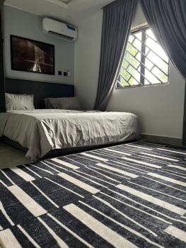 Exotic Furnished 2 Bedrooms, Wuye, Abuja, Flat / Apartment Short Let