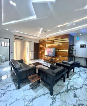 Beautiful Two Bedrooms Apartment — Life Camp, Abuja