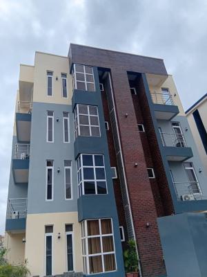 Luxury 2 Bedrooms with Excellent Furnitures, Idado / Chevron, Lekki, Lagos, Flat / Apartment for Sale