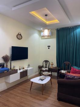 Tastefully Finished and Fully Furnished 1 Bedroom Studio Apartment, Off Hamza Abdullahi Street, Asokoro District, Abuja, Mini Flat (room and Parlour) Short Let