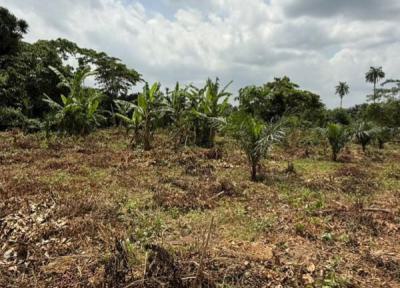 Plots and Acres of Lands, Remo North, Ogun, Commercial Land for Sale