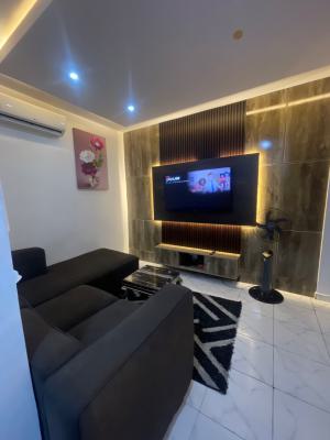Affordable Newly Launched Self-contain Apartments, 19 Kayode Oni Animashuan Street, Olive Park Estate, Sangotedo, Ajah, Lagos, Self Contain (single Rooms) Short Let