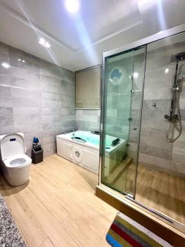 3 Bedroom Apartment, Ikoyi, Lagos, Flat / Apartment Short Let