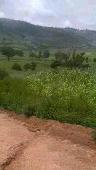 1 Hectare of Land, Behind Abasha Barracks, Entering Point Admiralty Estate, Asokoro District, Abuja, Residential Land for Sale