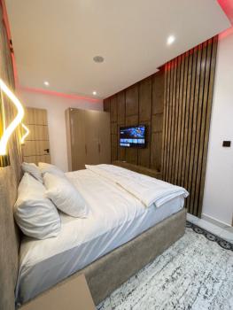 Luxury 2 Bedroom Apartment for Short Stay, Lekki Phase 1, Lekki, Lagos, Flat / Apartment Short Let