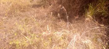 Plot of Land, Emene, Enugu, Enugu, Residential Land for Sale