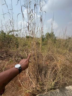 500sqm Service Plots, Awka Millennium City, Awka, Anambra, Residential Land for Sale