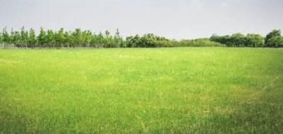 32,000sqm Sandfilled Waterfront Land, Chevron, Lekki, Lagos, Mixed-use Land for Sale