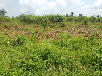 Affordable Dry,buy Build and Pack in Land with C of O., Odomola Epe-ibeju Lekki Expressway, Epe, Lagos, Residential Land for Sale