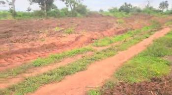 Estate Land in Issele Uku Asaba. in a Prime Location., Ubulu Okiti, Delta State., Asaba, Delta, Residential Land for Sale
