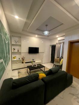 Beautiful 1 Bedroom Apartment, Ilupeju, Lagos, Mini Flat (room and Parlour) Short Let