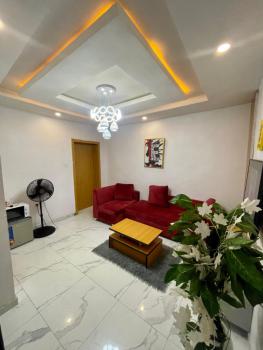Beautiful 1 Bedroom Apartment, Ilupeju, Lagos, Mini Flat (room and Parlour) Short Let