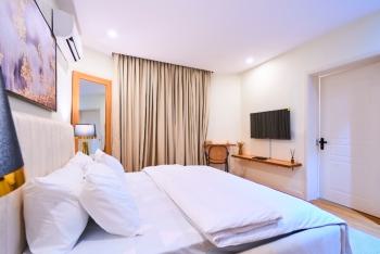 Brand New Sparkling One Bedroom Studio with Gym, Omorhire Johnson, Lekki Phase 1, Lekki, Lagos, Self Contain (single Rooms) Short Let