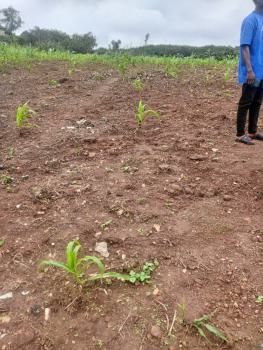 250sqm of an Estate Plot, Katampe Extension, Guzape District, Abuja, Residential Land for Sale