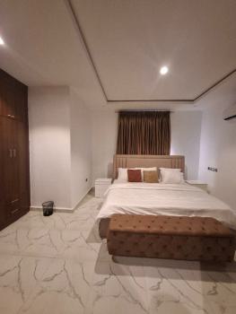 Vip and Fully Furnished Two Bedroom Apartment, Garki, Abuja, Flat / Apartment for Rent