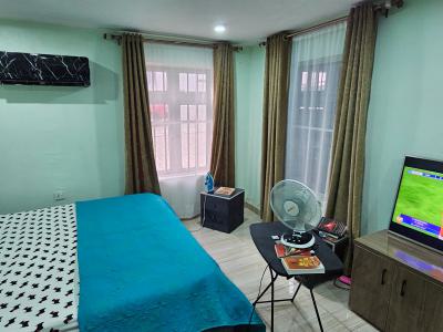 1 Bedroom Luxury Furnished Flat, The District By Dantata Estate, Gwarinpa, Abuja, Self Contain (single Rooms) Short Let