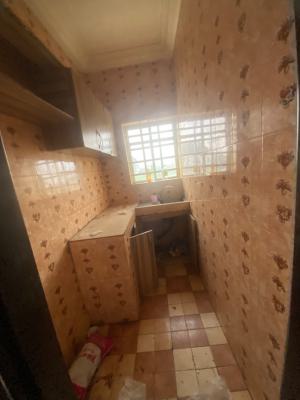 Luxurious Spacious Nice Mini Flat, 26, Femi Street, Jura Court, Sangotedo, Ajah, Lagos, Mini Flat (room and Parlour) for Rent