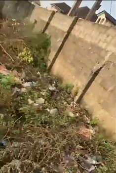 a Full Plot of Dry Land in a Built Up Developed Estate, Royal Palmwill Estate (remlek), Badore, Ajah, Lagos, Mixed-use Land for Sale