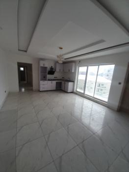 Serviced 2 Bedroom En-suite New Flat with Fitted Kitchen - Cooker, Ikate, Lekki, Lagos, Flat / Apartment for Rent