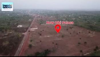 Affordable Land, Ogwashi- Uku, Asaba, Delta, Residential Land for Sale