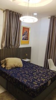 Mini Flat ( Fully Furnished), Lekki, Lagos, Mini Flat (room and Parlour) for Rent