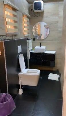 Fully Furnished 1 Bedroom Flat, Wuse 2, Abuja, Flat / Apartment for Rent