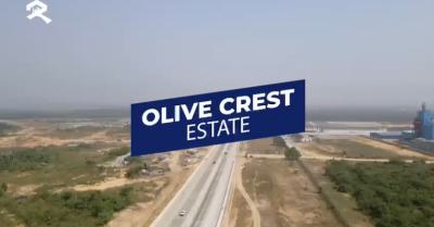 One of The Most Premium C of O Property at Ilamija, Olive Crest Phase, Ilamija, Ibeju Lekki, Lagos, Residential Land for Sale