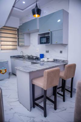 Luxury 1 Bedroom Terrace Apartment, By Lagos Business School, Ajah, Ajah, Lagos, Mini Flat (room and Parlour) Short Let