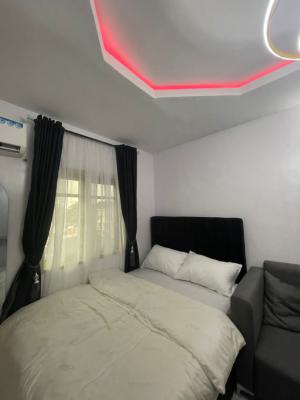 Paradise 1 Bedroom Luxurious Apartment - Fully Serviced & Furnished, Akoka, Yaba, Lagos, Commercial Property Short Let