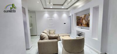 Furnished Luxury 2 Bedroom Apartment, Nike Art Gallery, Lekki Right, Lekki, Lagos, Flat / Apartment for Rent