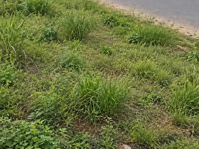 Prime Road-Facing Land: 6 Plots (2,779 SQM) - Direct From Owner — Directly on Siun-Owode Road, Obafemi Owode, Ogun