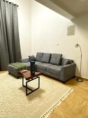 Elysian 1 Bedroom Mini Flat — Alagomeji, Yaba, Lagos