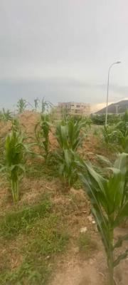 Commercial Land Measuring 6.736 Sqm O, Guzape District, Abuja, Commercial Land for Sale