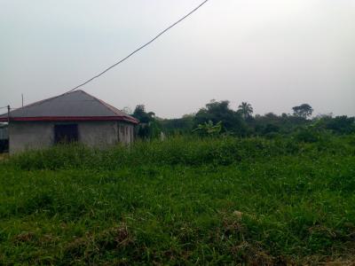Swampy 1½ Plot of Land in a Developed Neighbourhood, Okporo Road, Rumuodara, Port Harcourt, Rivers, Residential Land for Sale