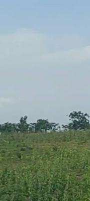 Mass Housing Land Measuring 48ha, Karsana North, Karsana, Abuja, Land for Sale