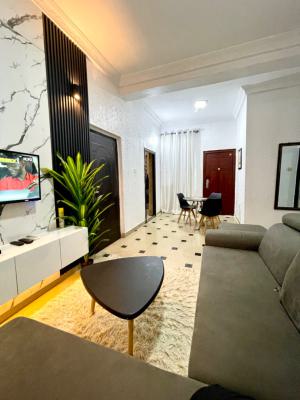 Cozy 2 Bedroom Apartment, Ajao Estate Airport Road, Ikeja, Lagos, Flat / Apartment Short Let