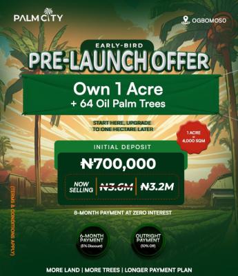 Palm City Estate, Ogbomoso, Ibadan, Oyo, Industrial Land for Sale
