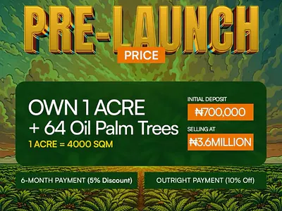 Plots of Industrial Land — Palm City Estate, Ogbomosho North, Oyo