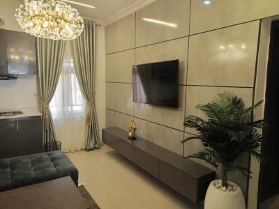 Daily Classic & Quality Fully Furnished Mini Flat, Admiralty Way, Lekki Phase 1, Lekki, Lagos, Mini Flat (room and Parlour) Short Let