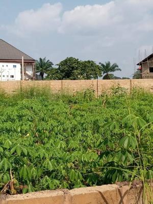 a Plot of Land, Ugboenwerem By Tanker Park, Trans Ekulu, Enugu, Enugu, Residential Land for Sale