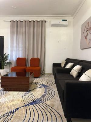 Excellent 2 Bedrooms Apartment, Wuse 2, Abuja, Flat / Apartment Short Let