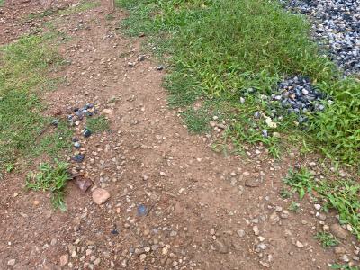Good Residential Plot — Oyo State Off Cocoa Research Institute, Ibadan, Oyo