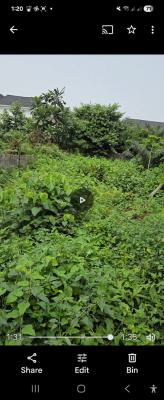Fenced, Half Plot of Land, Goodnews Estate, Sangotedo, Ajah, Lagos, Residential Land for Sale