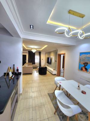 Luxury 2 Bedroom Apartment with Necessary Facilities, Lekki Phase 1, Lekki, Lagos, Flat / Apartment Short Let