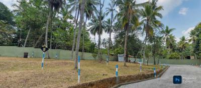 Expanse of Land, Western Avenue, Surulere, Lagos, Commercial Land for Sale