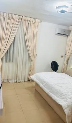 Spacious 3 Bedroom Flat, Wuse 2, Abuja, Flat / Apartment for Rent