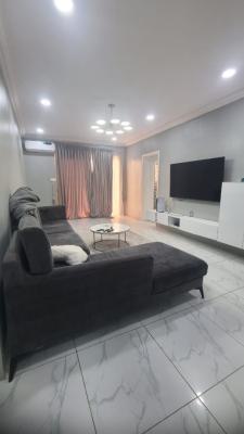 Fully Service Unfurnished Spacious 3 Bedroom Apartment +24 Hours Light, Pinnock Beach Estate, Osapa, Lekki, Lagos, Flat / Apartment for Rent