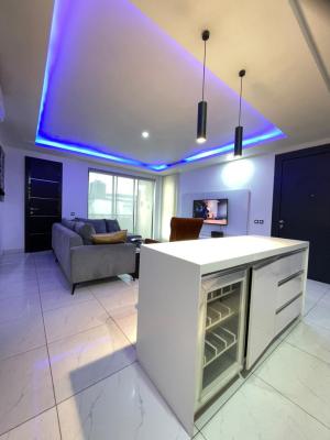 a Well Furnished and Fully Fitted Serviced Apartment, Emiola Mews, Ikate, Lekki., Lekki, Lagos, Flat / Apartment for Sale